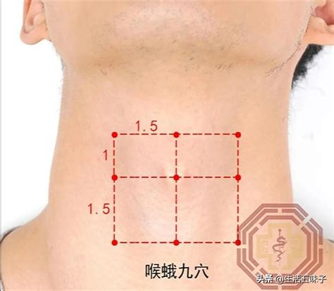 九穴|九穴(キュウケツ)とは？ 意味や使い方